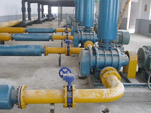 化工行業(yè)用羅茨風(fēng)機沼氣輸送案例